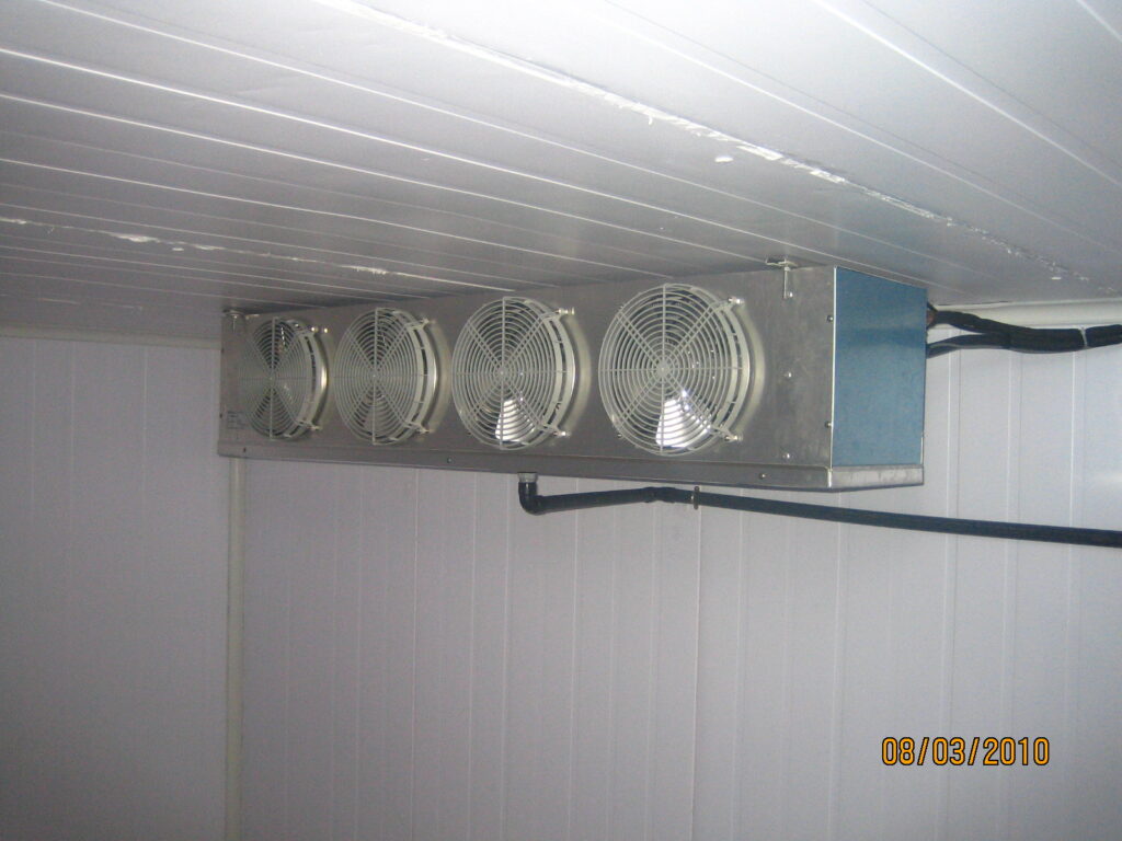 img 4589